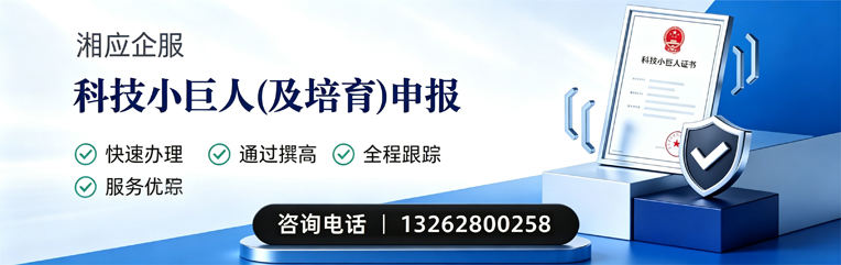 太原科技小巨人及培育企业申报服务