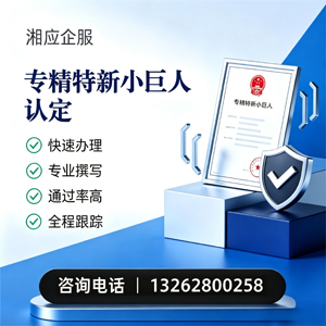 太原专精特新小巨人申报服务
