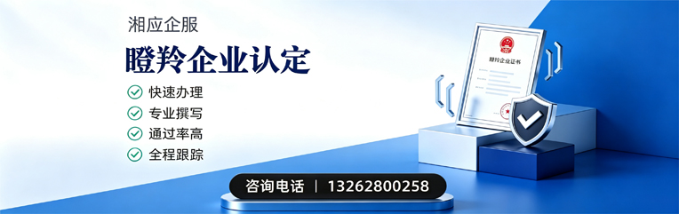 太原瞪羚企业认定申报服务