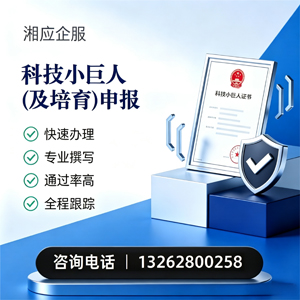 太原科技小巨人及培育企业申报服务