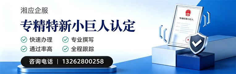太原专精特新小巨人申报服务